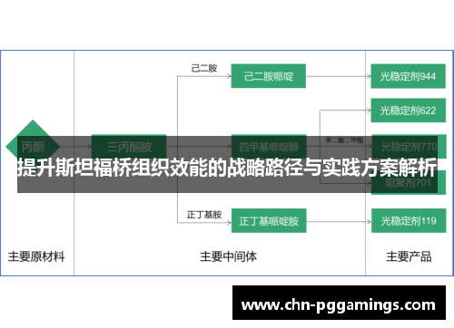 提升斯坦福桥组织效能的战略路径与实践方案解析 提升斯坦福桥组织效能的战略路径与实践方案解析